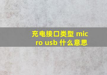 充电接口类型 micro usb 什么意思